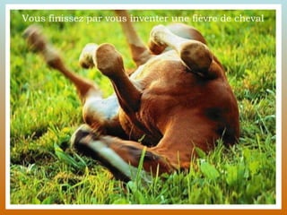 Vous finissez par vous inventer une fièvre de cheval  