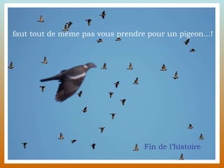 faut tout de même pas vous prendre pour un pigeon...! Fin de l’histoire 