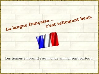 La langue française... c'est tellement beau. Les termes empruntés au monde animal sont partout. 