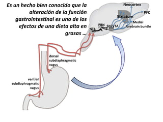 G'(1#(E&,E"(B-&#(,"#",-/"(H1&(.+(
+.*&%+,-2#(/&(.+(?1#,-2#(
$+'*%"-#*&'=#+.(&'(1#"(/&(."'(
&?&,*"'(/&(1#+(/-&*+(+.*+(&#( aH^&
$%+'+'(I(

3%7+2(&
+-P3*24B72)$2F.&
G2)-+&

G'5172(&
+-P3*24B72)$2F.&
G2)-+&

a'%.%71'J&

^17*21-$&
S=a& ^ab?HO&

Sc"&

;'3*2(&&
E%7'P72*5&P-53('&

 