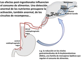 Q%+&'E'.1%+&4%+1d*5)'+F%52('+&*5W-'5.*25&
'(&.%5+-$%&3'&2(*$'51%+9&e52&3'1'..*#5&
25%7$2(&3'&(%+&5-17*'51'+&47'+-4%5'&(2&
2.FG2.*#5>&12$P*65&25%7$2(>&3'&(%+&
aH^&
.*7.-*1%+&3'&7'.%$4'5+2f&

a'%.%71'J&

^17*21-$&
S=a& ^ab?HO&

Sc"&

;'3*2(&&
E%7'P72*5&P-53('&

3%7+2(&
+-P3*24B72)$2F.&
G2)-+&

G'5172(&
+-P3*24B72)$2F.&
G2)-+&

'9)9&(2&7'3-..*#5&'5&(%+&5*G'('+&
)2+17%*51'+F52('+&3'&adO.T('125%(2$*52+&
IaO0+M>&-52&E2$*(*2&3'&$'5+2X'7%+&(*4<3*.%+&,-'&
7')-(25&'(&.%5+-$%&3'&2(*$'51%+9&

 