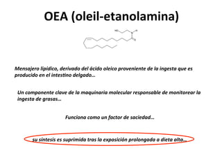 g0O&I%('*(d'125%(2$*52M&

7&#'+L&%"(.-@8/-,"M(/&%-D+/"(/&.(<,-/"(".&-,"(@%"D&#-&#*&(/&(.+(-#$&'*+(H1&(&'(
@%"/1,-/"(&#(&.(-#*&'=#"(/&.$+/"I((
J#(,";@"#&#*&(,.+D&(/&(.+(;+H1-#+%-+(;".&,1.+%(%&'@"#'+B.&(/&(;"#-*"%&+%(.+(
-#$&'*+(/&($%+'+'I(
F1#,-"#+(,";"(1#(?+,*"%(/&('+,-&/+/I(&

'1('8#*&'-'(&'('1@%-;-/+(*%+'(.+(&K@"'-,-2#(@%"."#$+/+(+(/-&*+(+.*+I(

 