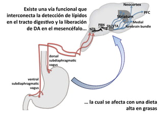 (0J*+1'&-52&G<2&E-5.*%52(&,-'&
*51'7.%5'.12&(2&3'1'..*#5&3'&(<4*3%+&
'5&'(&172.1%&3*)'+FG%&T&(2&(*P'72.*#5&
3'&8O&'5&'(&$'+'5.6E2(%999& aH^&

a'%.%71'J&

^17*21-$&
S=a& ^ab?HO&

Sc"&

;'3*2(&&
E%7'P72*5&P-53('&

3%7+2(&
+-P3*24B72)$2F.&
G2)-+&

G'5172(&
+-P3*24B72)$2F.&
G2)-+&

f&(2&.-2(&+'&2E'.12&.%5&-52&3*'12&
2(12&'5&)72+2+&

 