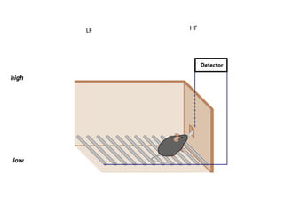 E^(

E-$E(

."N(

_^(

 