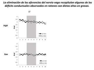 !(>+(&.-;-#+,-2#(/&(.+'(+?&%&#,-+'(/&.(#&%D-"(D+$"(%&,+@-*1.+#(+.$1#"'(/&(."'(
/6Q,-*'(,"#/1,*1+.&'("B'&%D+/"'(&#(%+*"#&'(,"#(/-&*+'(+.*+'(&#($%+'+'4(
E^(

_^(

=(

8DN(

8DN(

.2(&

=DN(

=(

E-$E(

M(

=DN(

.2(&

M(

8(
<DN(

<DN(

<(

<(

,E^XWA_(

;DN(
;(

8(

<(

8(

=(

M(

N(

K(

9(

L(

O(

;(

<;(

=(

8DN(

8(

=(

M(

N(

K(

9(

L(

O(

<;(

M(

N(

K(

9(

L(

O(

<;(

8DN(

.2(&

=DN(

=(

<(

M(

=DN(

.2(&

M(

."N(

_^XWA_(
_^XYAZ(

;DN(

,E^XYAZ(

8(
<DN(

8(
<DN(

<(

,E^XWA_(

;DN(
;(

_^XWA_(
_^XYAZ(

,E^XYAZ(
<(

8(

=(

M(

N(

K(

9(

L(

O(

<;(

<(
;DN(
;(

<(

8(

=(

 