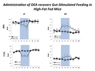 P/;-#-'*%+="#("?(OGP(%&,"D&%'(W1*UX=;1.+*&/(F&&/-#$(-#(
:-$EUF+*(F&/(7-,&((
Qc&

oc&

8DN(

.2(&

=(

8DN(

.2(&

=DN(

=(

VLN&

=DN(

8(
<DN(
<(

<DN(
<(

;DN(
;(

8(

<(

8(

=(

M(
M(

N(
N(

K(
K(

9(
9(

L(
L(

;(

O( <;(
O( <;(

8(

=(
=(

M(
M(

N(
N(

K(
K(

9( L( O( <;(
9( L( O( <;(

M(
M(

N(
N(

K(
K(

9( L( O( <;(
9( L( O( <;(

8DN(

.2(&

=(

8DN(

<(

=DN(

=(

.2(&

=DN(

n9kN&

_^XWA_(
_^XYAZ(

;DN(

E^XWA_(
E^XYAZ(

8(
<DN(
<(

<DN(
<(

E^XWA_(

;DN(
;(

8(

E^XYAZ(
<(

8(

=(

_^XWA_(

;DN(
M(
M(

N(
N(

K(
K(

9(
9(

L(
L(

O( <;(
O( <;(

;(

_^XYAZ(
<(

8(

=(
=(

 