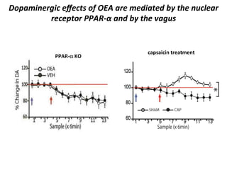 Dopaminergic	
  eﬀects	
  of	
  OEA	
  are	
  mediated	
  by	
  the	
  nuclear	
  
receptor	
  PPAR-­‐α	
  and	
  by	
  the	
  vagus	
  

PPAR-­‐α	
  KO	
  

capsaicin	
  treatment	
  

 