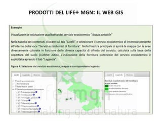 PRODOTTI DEL LIFE+ MGN: IL WEB GIS
Al sistema WebGIS si può accedere in due modi:
• direttamente dall’indirizzo: http://li...