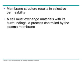 Membrane structure results in selective permeability A cell must exchange materials with its surroundings, a process controlled by the plasma membrane 