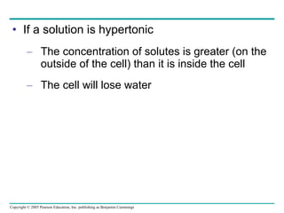 If a solution is hypertonic The concentration of solutes is greater (on the outside of the cell) than it is inside the cell The cell will lose water 