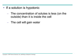 If a solution is hypotonic The concentration of solutes is less (on the outside) than it is inside the cell The cell will gain water 