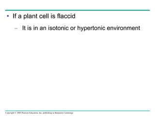 If a plant cell is flaccid It is in an isotonic or hypertonic environment 