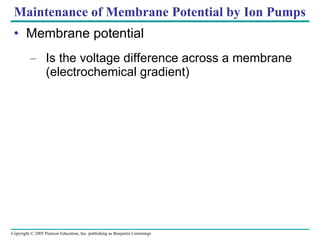 Maintenance of Membrane Potential by Ion Pumps Membrane potential Is the voltage difference across a membrane (electrochemical gradient) 