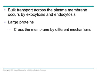 Bulk transport across the plasma membrane occurs by exocytosis and endocytosis Large proteins Cross the membrane by different mechanisms 