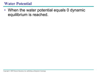 Water Potential When the water potential equals 0 dynamic equilibrium is reached.  