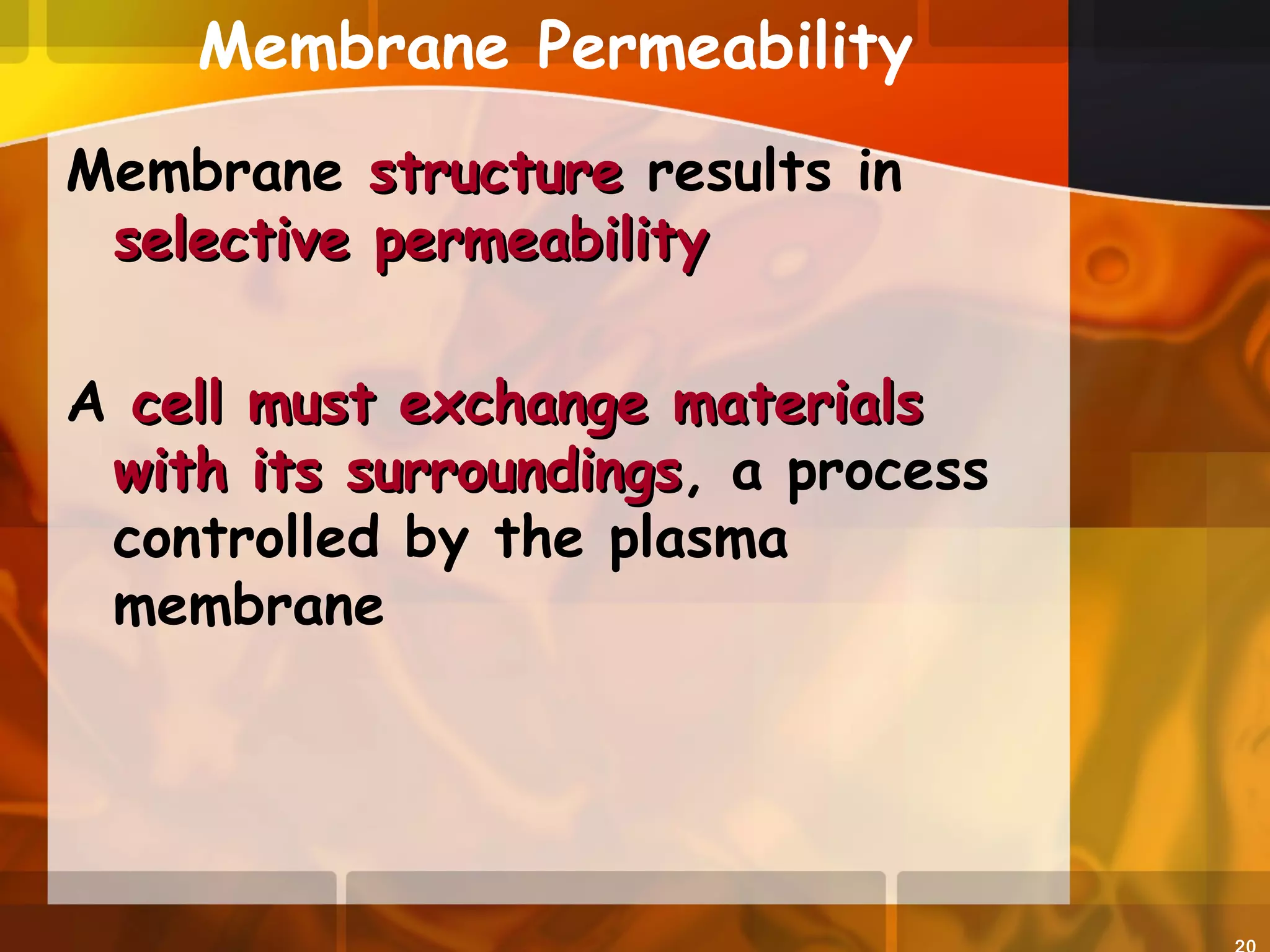 Membrane Permeability
Membrane structurestructure results in
selective permeabilityselective permeability
A cell must exchange materialscell must exchange materials
with its surroundingswith its surroundings, a process
controlled by the plasma
membrane
 