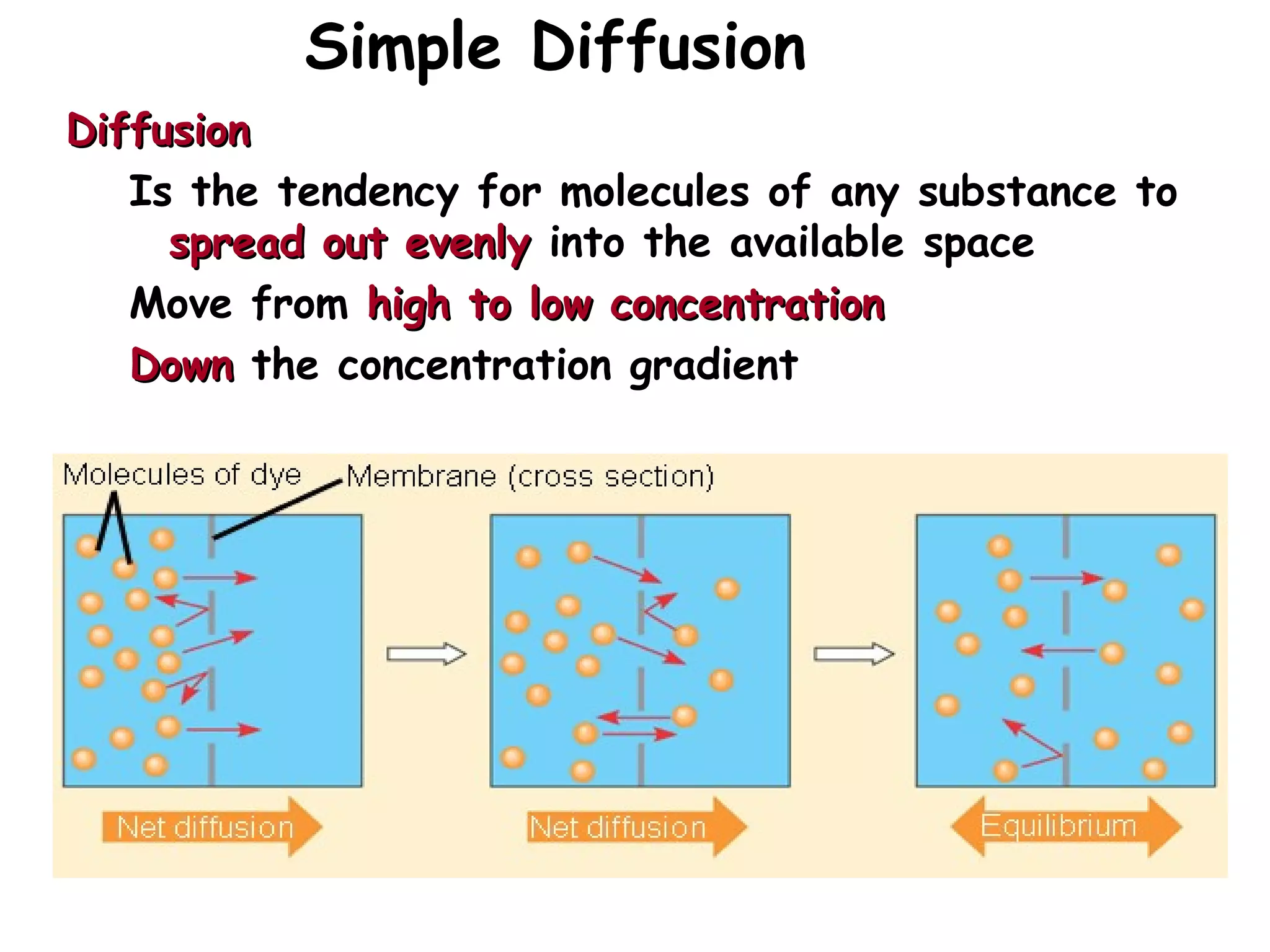 Simple Diffusion
DiffusionDiffusion
Is the tendency for molecules of any substance to
spread out evenlyspread out evenly into the available space
Move from high to low concentrationhigh to low concentration
DownDown the concentration gradient
 