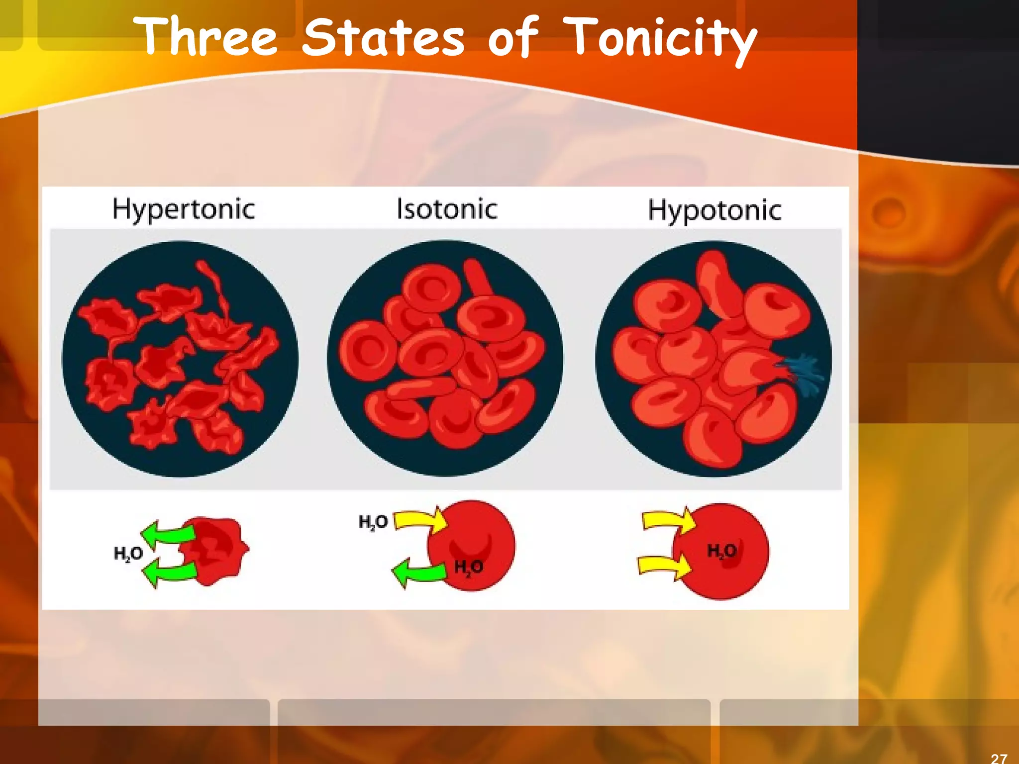 Three States of Tonicity
 