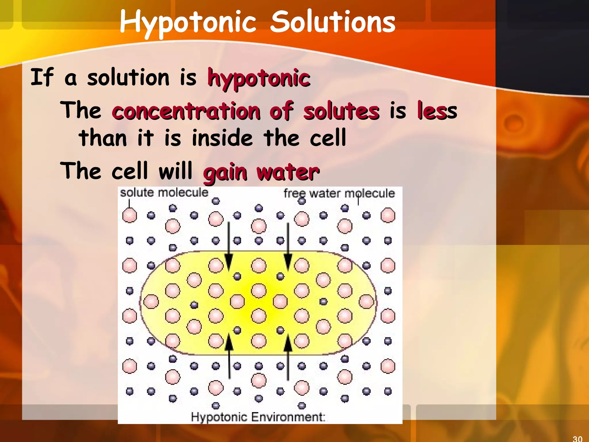 Hypotonic Solutions
If a solution is hypotonichypotonic
The concentration of solutesconcentration of solutes is lesless
than it is inside the cell
The cell will gain watergain water
 