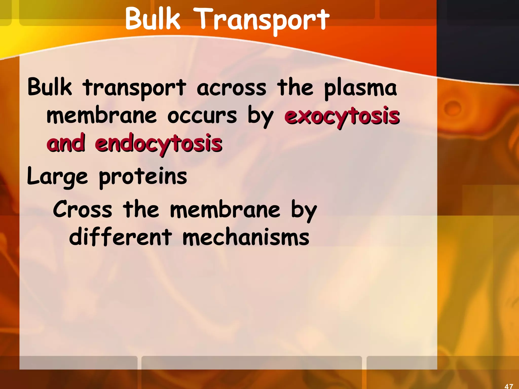 Bulk Transport
Bulk transport across the plasma
membrane occurs by exocytosisexocytosis
and endocytosisand endocytosis
Large proteins
Cross the membrane by
different mechanisms
 