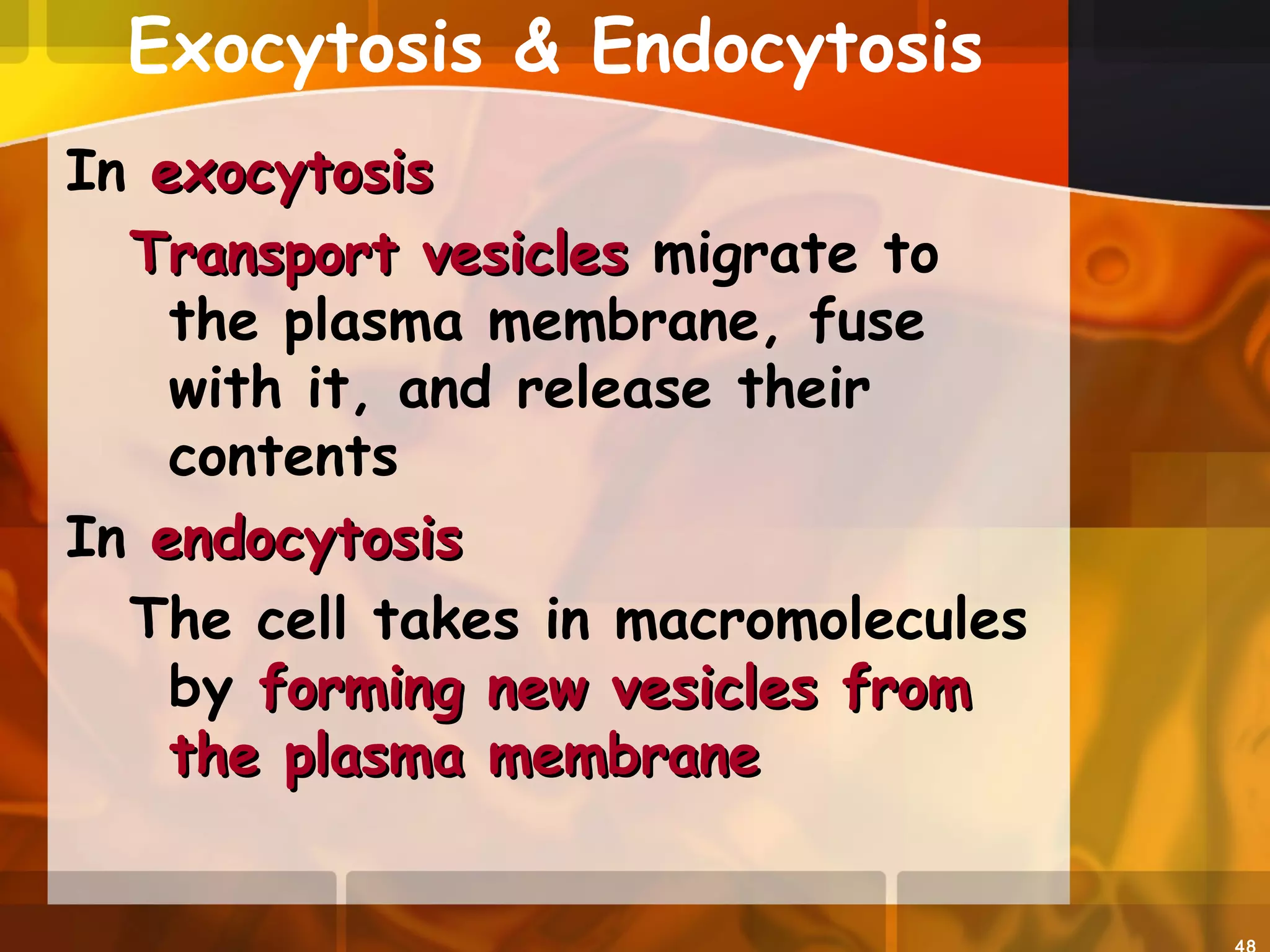 Exocytosis & Endocytosis
In exocytosisexocytosis
Transport vesiclesTransport vesicles migrate to
the plasma membrane, fuse
with it, and release their
contents
In endocytosisendocytosis
The cell takes in macromolecules
by forming new vesicles fromforming new vesicles from
the plasma membranethe plasma membrane
 