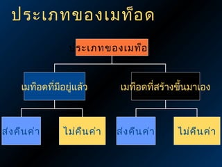 ประเภทของเมท็อ ด
ประเภทของเมท็อ ด

เมท็อดที่มีอยู่แล้ว

ส่ง คืน ค่า

ไม่ค น ค่า
ื

เมท็อดที่สร้างขึ้นมาเอง

ส่ง คืน ค่า

ไม่ค น ค่า
ื

 
