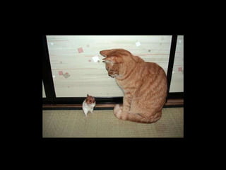 07 Mon Chat Ne Sert A Rien