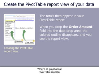 Create the PivotTable report view of your data The totals then appear in your PivotTable report.  What’s so great about PivotTable reports? Creating the PivotTable report view When you drop the  Order Amount  field into the data drop area, the colored outline disappears, and you see the report view.  