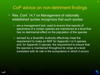 12
CoP advice on non-detriment findings
• Res. Conf. 14.7 on Management of nationally
established quotas recognizes that such quotas:
– are a management tool, used to ensure that exports of
specimens of a certain species are maintained at a level that
has no detrimental effect on the population of the species
– advised by a Scientific Authority effectively meet the
requirement to make an NDF for Appendix I or II species
and, for Appendix II species, the requirement to ensure that
the species is maintained throughout its range at a level
consistent with its role in the ecosystems in which it occurs
 