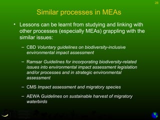 28
Similar processes in MEAs
• Lessons can be learnt from studying and linking with
other processes (especially MEAs) grappling with the
similar issues:
– CBD Voluntary guidelines on biodiversity-inclusive
environmental impact assessment
– Ramsar Guidelines for incorporating biodiversity-related
issues into environmental impact assessment legislation
and/or processes and in strategic environmental
assessment
– CMS Impact assessment and migratory species
– AEWA Guidelines on sustainable harvest of migratory
waterbirds
 