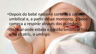 •Depois do bebé nascer é cortado o cordão
umbilical e, a partir desse momento, o bebé
começa a respirar através dos pulmões.
•No local onde estava o cordão umbilical fica
uma cicatriz, o umbigo.

 