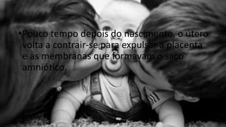 •Pouco tempo depois do nascimento, o útero
volta a contrair-se para expulsar a placenta
e as membranas que formavam o saco
amniótico.

 