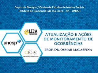 PROF. DR. OSMAR MALASPINA
Depto de Biologia / Centro de Estudos de Insetos Sociais
Instituto de Biociências de Rio Claro – SP – UNESP
 