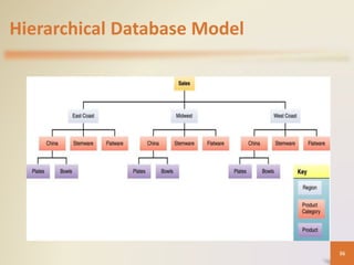 Hierarchical Database Model
36
 