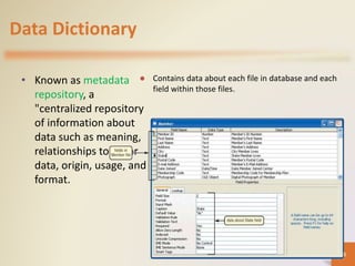 Data Dictionary
• Known as metadata
repository, a
"centralized repository
of information about
data such as meaning,
relationships to other
data, origin, usage, and
format.
 Contains data about each file in database and each
field within those files.
45
 