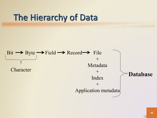 The Hierarchy of Data
Database
Bit Byte Field Record File
+
Metadata
+
Index
+
Application metadata
Character
48
 
