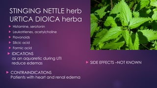 07-Phytotherapy urinary tract.pptxhhhhhhhb | PPTX
