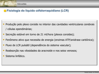 IEA - I Workshop em pressão intracraniana - Parte 7 | PPT