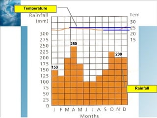 Temperature Rainfall 250 200 150 