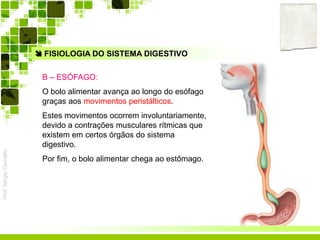 Prof.SérgioCarvalho
 FISIOLOGIA DO SISTEMA DIGESTIVO
B – ESÓFAGO:
O bolo alimentar avança ao longo do esófago
graças aos movimentos peristálticos.
Estes movimentos ocorrem involuntariamente,
devido a contrações musculares rítmicas que
existem em certos órgãos do sistema
digestivo.
Por fim, o bolo alimentar chega ao estômago.
 