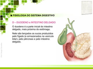 Prof.SérgioCarvalho
 FISIOLOGIA DO SISTEMA DIGESTIVO
D – DUODENO e INTESTINO DELGADO:
O duodeno é a parte inicial do intestino
delgado, mais próxima do estômago.
Nele são lançados os sucos produzidos
pelo fígado (e armazenados na vesícula
bilar), pelo pâncreas e pelo intestino
delgado.
 
