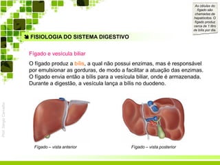 Prof.SérgioCarvalho
 FISIOLOGIA DO SISTEMA DIGESTIVO
Fígado e vesícula biliar
O fígado produz a bílis, a qual não possui enzimas, mas é responsável
por emulsionar as gorduras, de modo a facilitar a atuação das enzimas.
O fígado envia então a bílis para a vesícula biliar, onde é armazenada.
Durante a digestão, a vesícula lança a bílis no duodeno.
Fígado – vista anterior Fígado – vista posterior
As células do
fígado são
chamadas de
hepatócitos. O
fígado produz
cerca de 1 litro
de bílis por dia.
 
