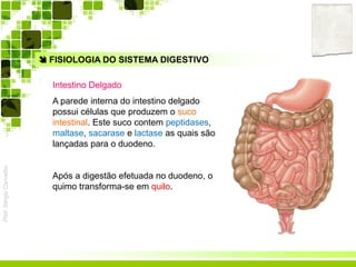Prof.SérgioCarvalho
 FISIOLOGIA DO SISTEMA DIGESTIVO
Intestino Delgado
A parede interna do intestino delgado
possui células que produzem o suco
intestinal. Este suco contem peptidases,
maltase, sacarase e lactase as quais são
lançadas para o duodeno.
Após a digestão efetuada no duodeno, o
quimo transforma-se em quilo.
 