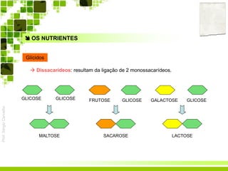 Prof.SérgioCarvalho
 OS NUTRIENTES
Glícidos
 Dissacarídeos: resultam da ligação de 2 monossacarídeos.
GLICOSE FRUTOSE
LACTOSE
GLICOSE
MALTOSE
GLICOSE
SACAROSE
GLICOSEGALACTOSE
 
