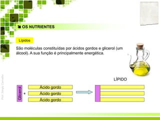 Prof.SérgioCarvalho
Lípidos
 OS NUTRIENTES
LÍPIDO
São moléculas constituídas por ácidos gordos e glicerol (um
álcool). A sua função é principalmente energética.
Ácido gordo
+ Ácido gordo
Ácido gordo
Glicerol
 