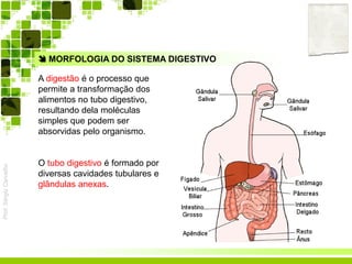 Prof.SérgioCarvalho
 MORFOLOGIA DO SISTEMA DIGESTIVO
A digestão é o processo que
permite a transformação dos
alimentos no tubo digestivo,
resultando dela moléculas
simples que podem ser
absorvidas pelo organismo.
O tubo digestivo é formado por
diversas cavidades tubulares e
glândulas anexas.
 