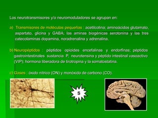 Los neurotransmisores y/o neuromoduladores se agrupan en:

a) Transmisores de moléculas pequeñas : acetilcolina; aminoácidos glutamato,
   aspartato, glicina y GABA; las aminas biogénicas serotonina y las tres
   catecolaminas dopamina, noradrenalina y adrenalina.

b) Neuropéptidos : péptidos opioides encefalinas y endorfinas; péptidos
   gastrointestinales sustancia P, neurotensina y péptido intestinal vasoactivo
   (VIP); hormona liberadora de tirotropina y la somatostatina.

c) Gases : óxido nítrico (ON) y monóxido de carbono (CO).




                                      S
 