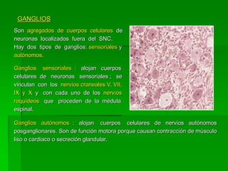 GANGLIOS
Son agregados de cuerpos celulares de
neuronas localizados fuera del SNC.
Hay dos tipos de ganglios: sensoriales y
autónomos.

Ganglios sensoriales : alojan cuerpos
celulares de neuronas sensoriales ; se
vinculan con los nervios craneales V, VII,
IX y X y con cada uno de los nervios
raquídeos que proceden de la médula
espinal.

Ganglios autónomos : alojan cuerpos celulares de nervios autónomos
posganglionares. Son de función motora porque causan contracción de músculo
liso o cardiaco o secreción glandular.
 