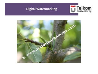 Digital WatermarkingDigital Watermarking
 