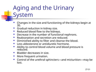 Comprehensive Overview of the Human Urinary System: Anatomy and ...